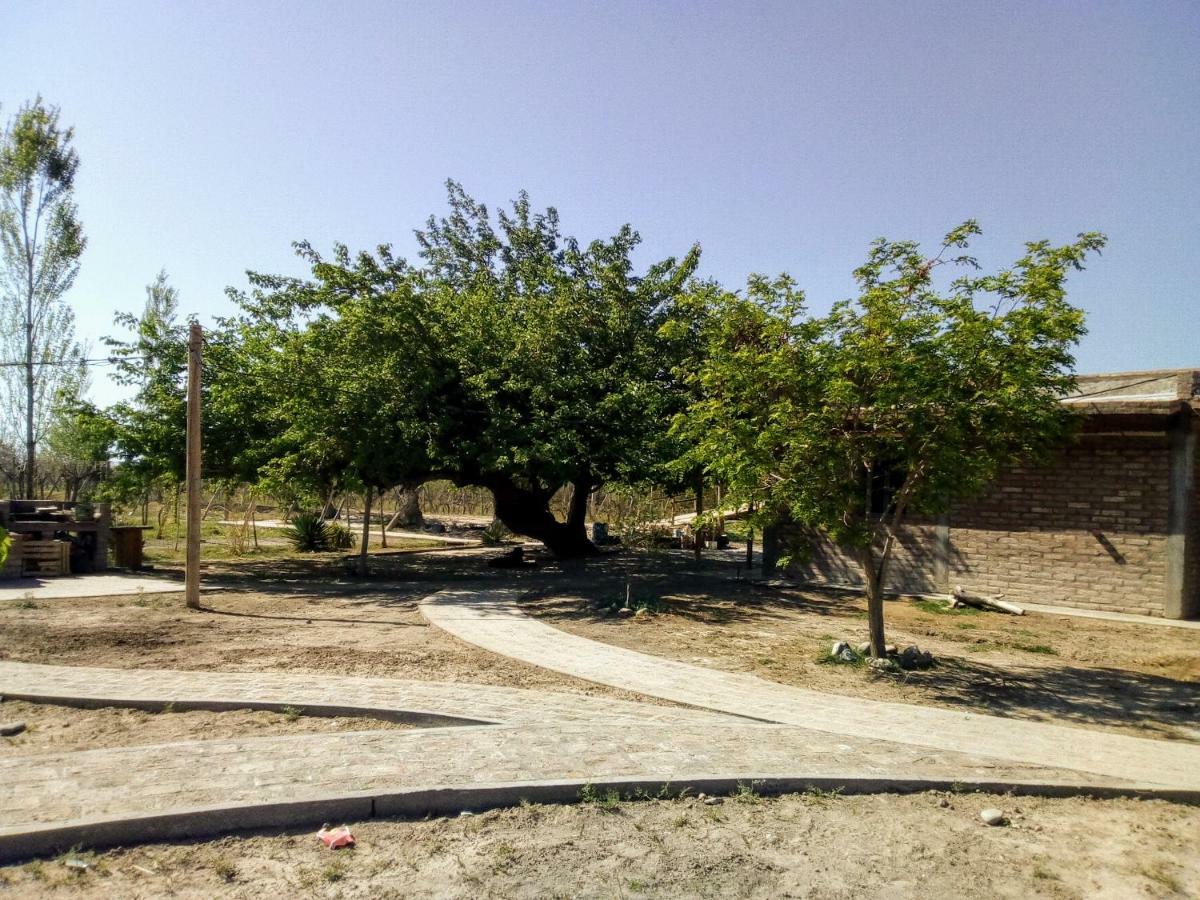 Cabanas De La Bodega Romano-Pin Альбардон Экстерьер фото